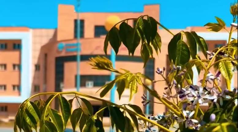 کاشت نهال در بیمارستان ایرانمهر